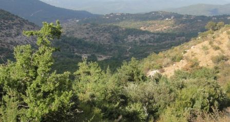 massif forestier hyèrois camping giens